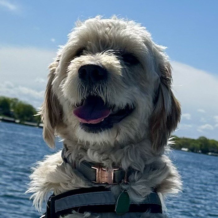 Maverick, the real-life inspiration